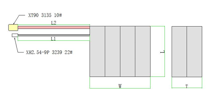 21700 8S1P