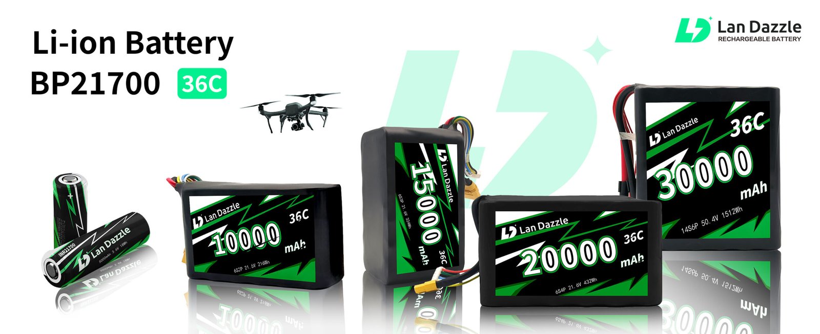 Lion Battery Packs