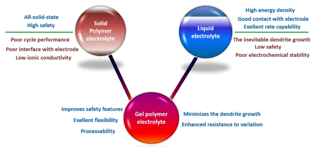 solid and gel polymer electrolytes