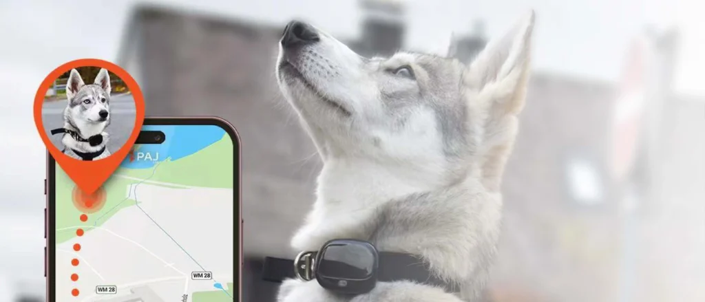 Animal Tracker 40 tracker battery