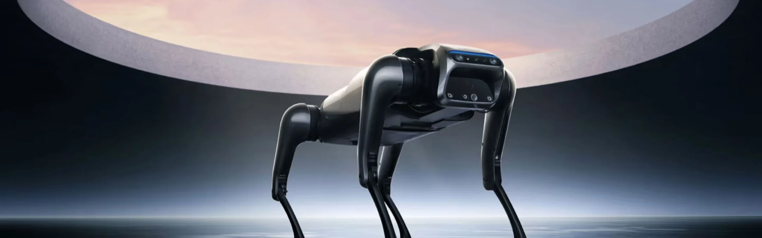 Batterie für vierbeinige Roboter